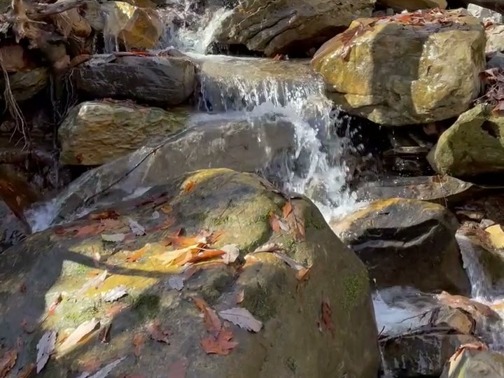 Creek flowing over mossy rocks on the property at Sasquatch Farm RV Park