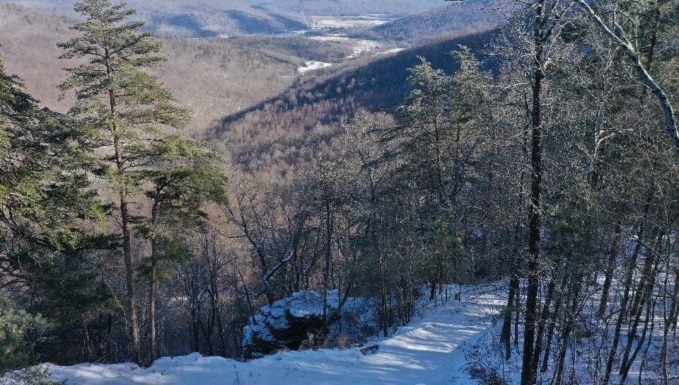 Hiking trail descending through the snowy forest overlooking the valley at Sasquatch Farm RV Park